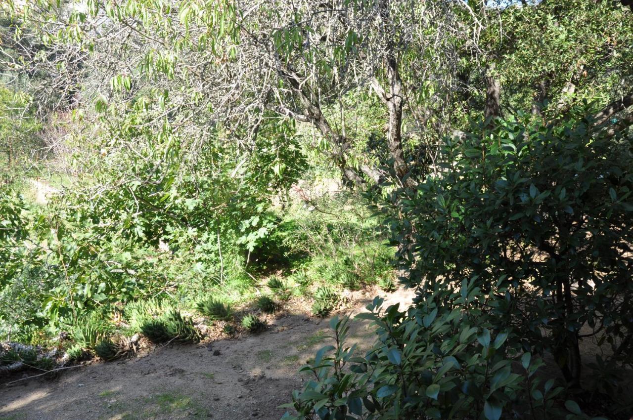 2Ba Domaine Malacucina Lumio Exterior photo